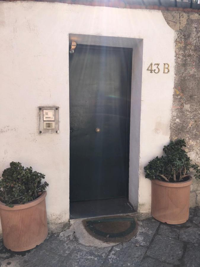 Alma De Templarsf - Stunning Design Home With Sea View And Terrace Napoli Bagian luar foto
