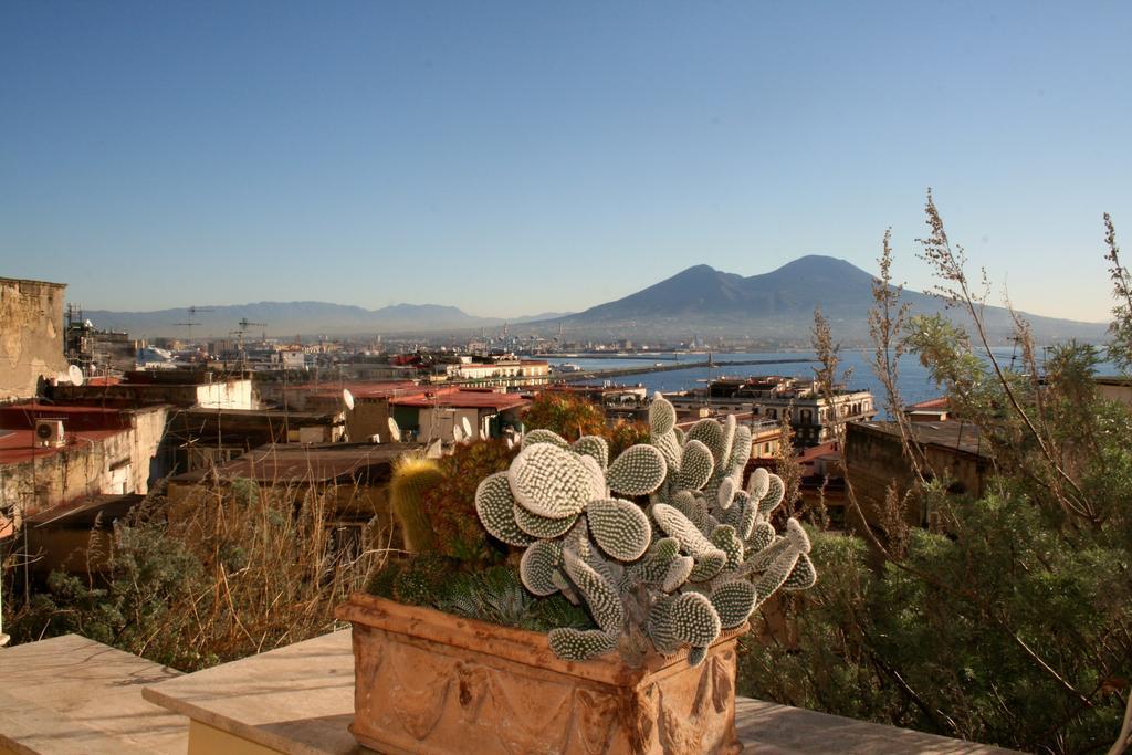 Alma De Templarsf - Stunning Design Home With Sea View And Terrace Napoli Ruang foto